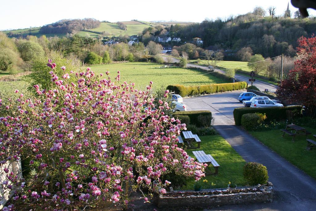 Furzeleigh Mill Inn Buckfastleigh Buitenkant foto