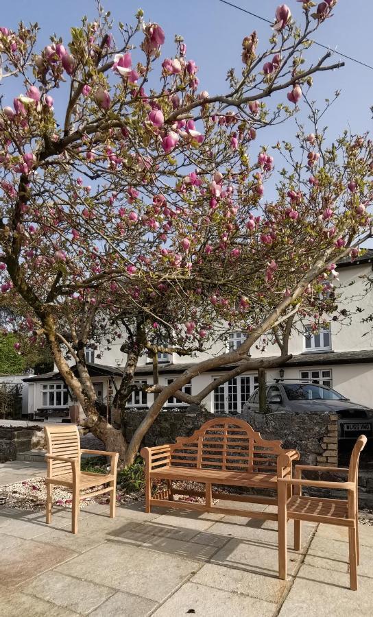 Furzeleigh Mill Inn Buckfastleigh Buitenkant foto